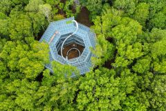 OVG Website Gallery - 54