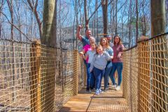 OVG Website Gallery - 57