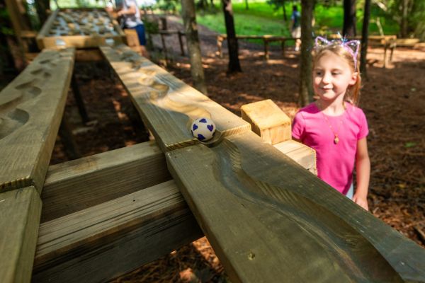 Acorn Run (5)