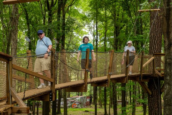 Canopy Walk (2)