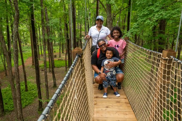 Canopy Walk (3)