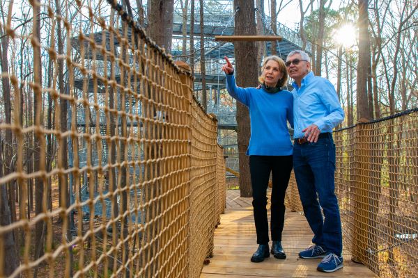 Canopy Walk (6)